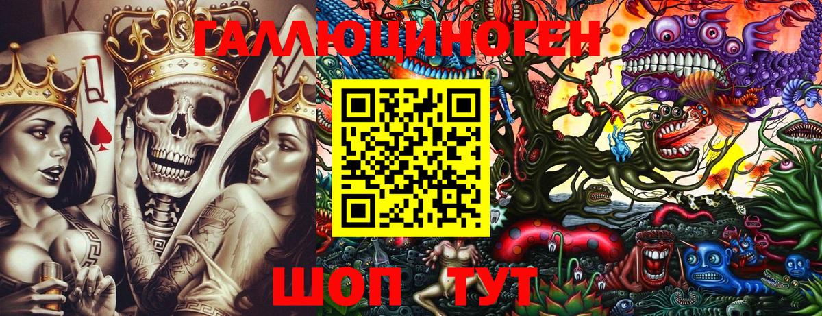 Галлюциногенные грибы Psilocybine cubensis Калуга