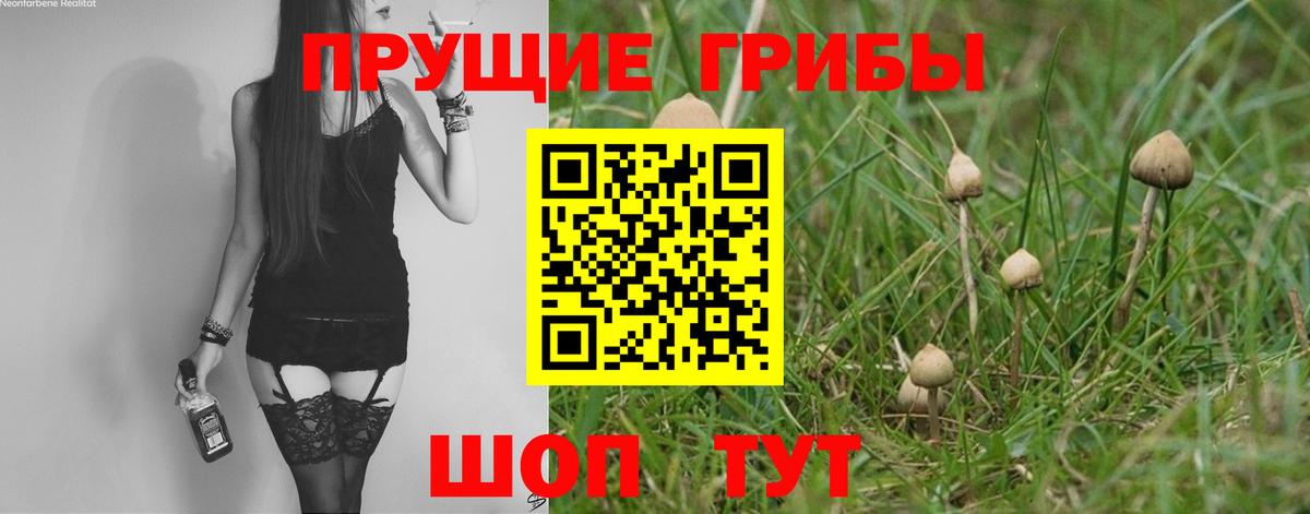 Псилоцибиновые грибы мицелий  Вход с VPN  Калуга 