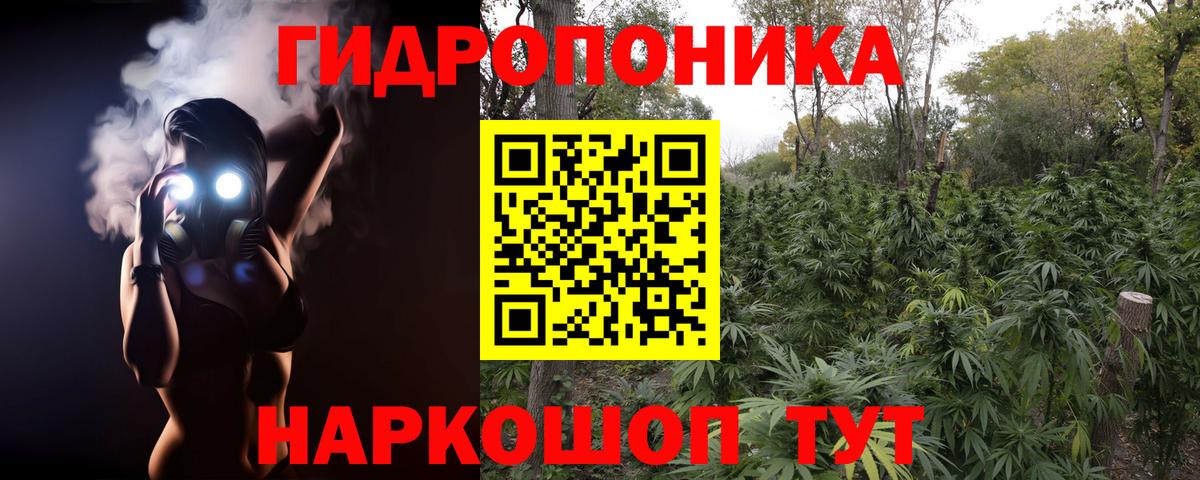 МАРИХУАНА семена  Вход с VPN  Бошки Шишки Bruce Banner  Калуга  Конопля Bruce Banner 